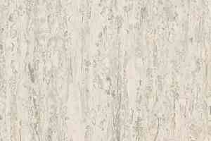 Линолеум Tarkett iq Optima GREY WHITE 0886 фото  | FLOORDEALER